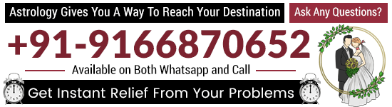  Astrologar Acharya Rudra Shastri +91-9166870652